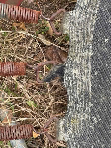 Photo of free Trampoline (Impington CB24) #3