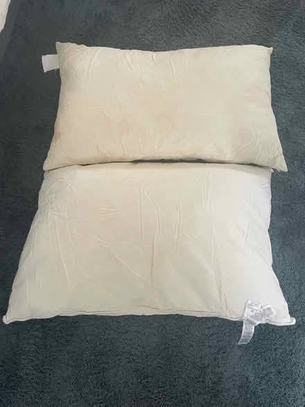 Photo of free 2 feather pillows (Sale M33) #1