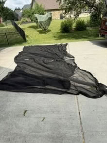 Photo of free Netting (Carmel) #1