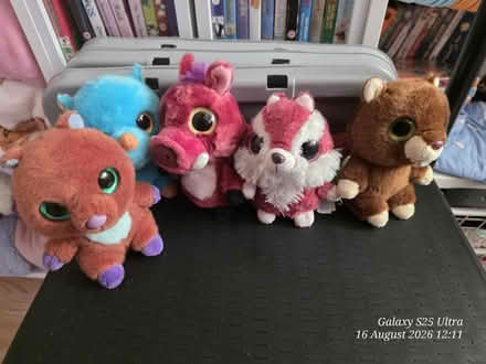 Photo of free Yoohoo plushies (spondon DE21) #1