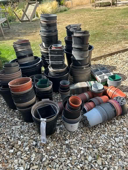 Photo of free Plastic flower pots (Long Sutton, Nr Langport) #1