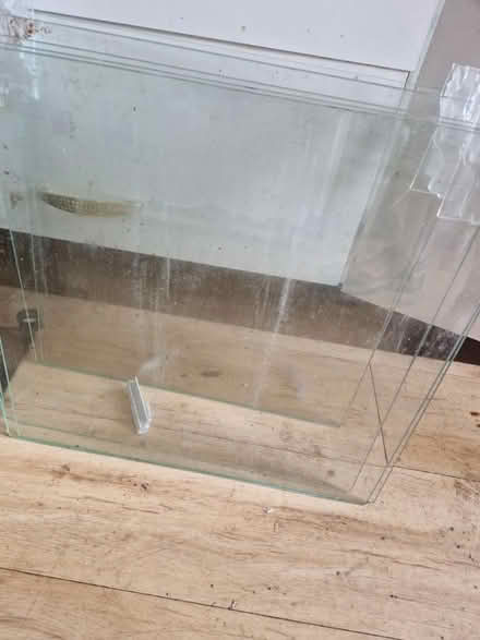 Photo of free 5 glass shelves (Oval SW8) #2