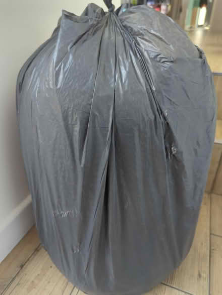 Photo of free Polyester beans for bean bags (Kibworth Beauchamp LE8) #1