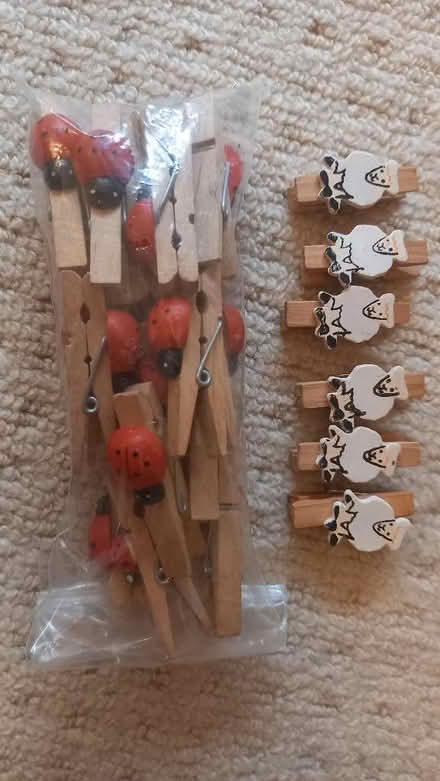 Photo of free Small wooden pegs (Bessels Green TN13) #1