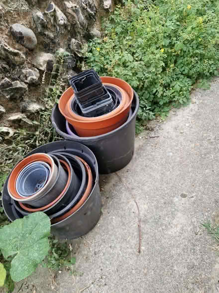 Photo of free Assorted large and small plastic plant pots (Eastbourne BN21) #1