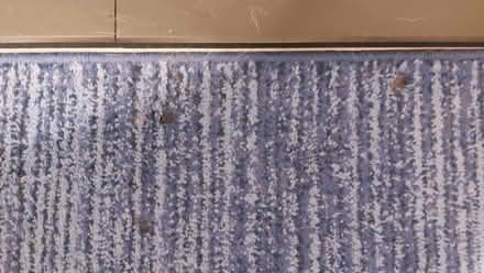 Photo of free Blue Polyester Rug 190cm x 133cm. (Berrylands KT5) #2