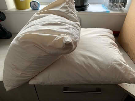 Photo of free 2x duck feather cushion liners (Leasowe CH45) #1