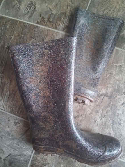 Photo of free Girls wellies size 4 junior (Church Hill South Redditch B98) #1