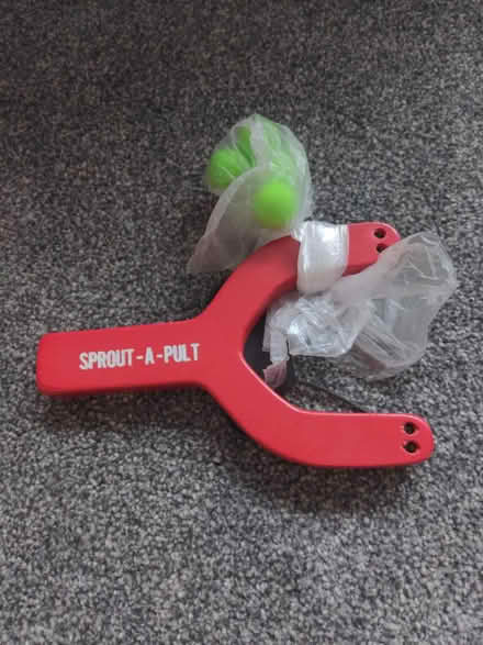 Photo of free Sprout a pult (Stannington S6) #1