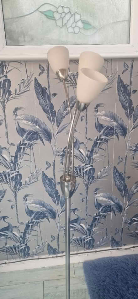 Photo of free Floor lamp (Stanway, CO3) #2