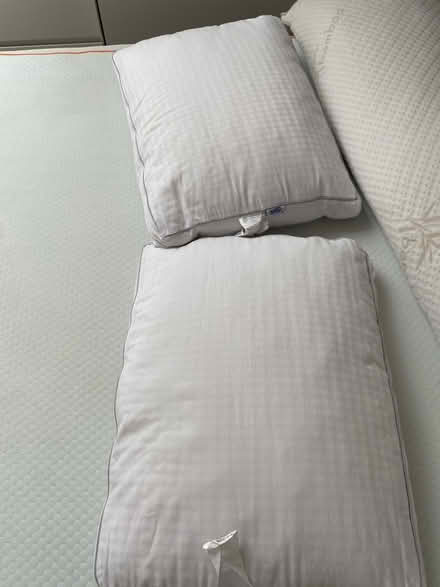Photo of free Memory foam items (Wandsworth Bridge Road SW6) #1