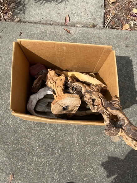 Photo of free Box of reptile dishes and hides (west san jose) #4