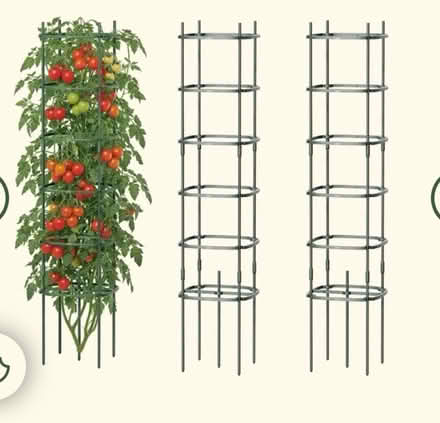 Photo of Tomato cages (Glendora ca) #1