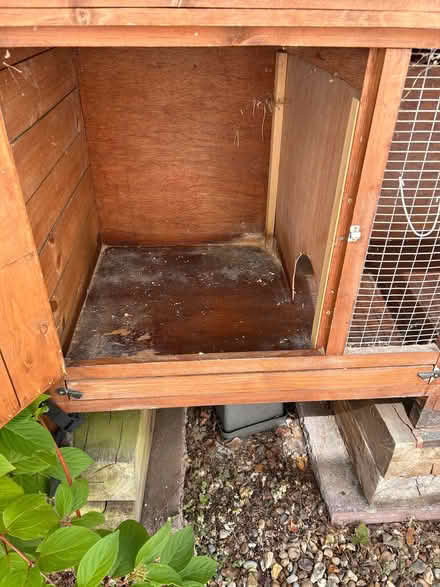 Photo of free Rabbit/ Guinea pig hutch (Northwood HA5) #4