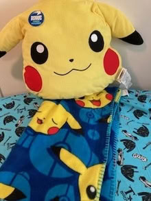 Photo of free StuffedAnimal & Fleece Throw (Tribeca (10013)) #1