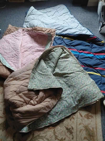 Photo of free Sleeping bags (Ludlow SY8) #1