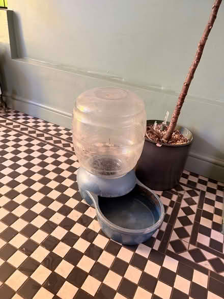 Photo of free Large dog water dispenser (Burham Rochester ME1) #1