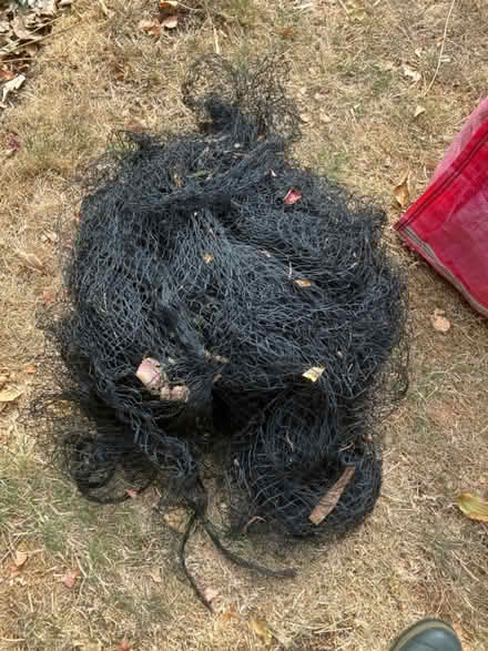 Photo of free Netting and enviromesh (Yelford OX29) #1