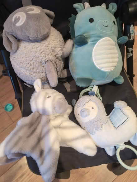 Photo of free Soft toys for baby (BR6) #1