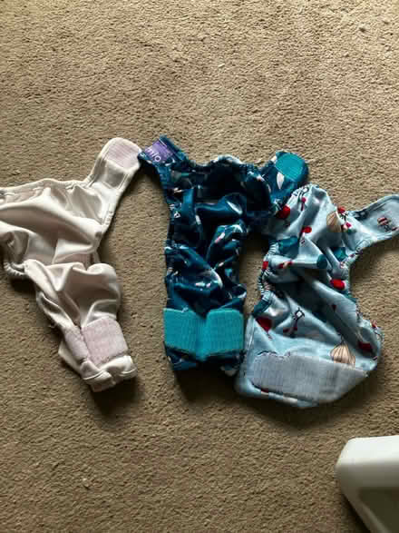 Photo of free Washable wipes and nappy bucket (Westbury BA13) #3