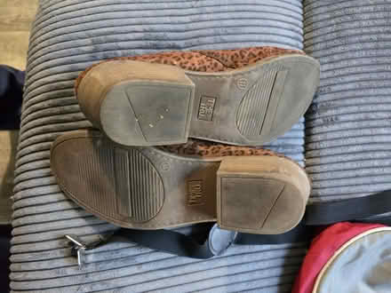 Photo of free Ankle Boots (Wards Corner) #1