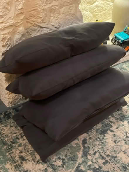 Photo of free 4 ikea sofa cushions (Whitstable, CT5) #1