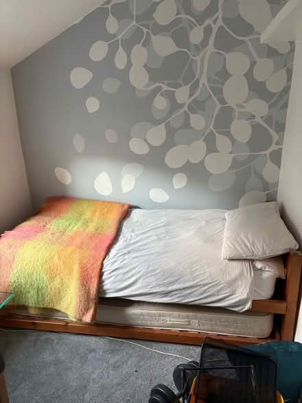 Photo of free Single bed with pull out bed underneath (New Cross SE14) #1