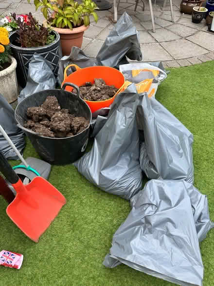 Photo of free Garden soil and mud (Elmesthorpe LE9) #3