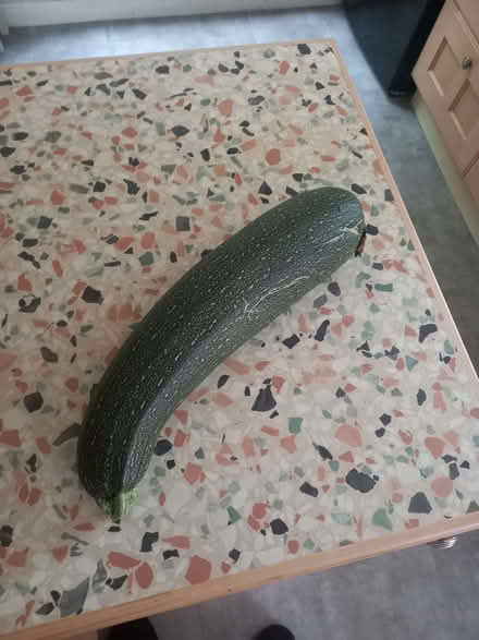 Photo of free Marrow (Holgate YO24) #1