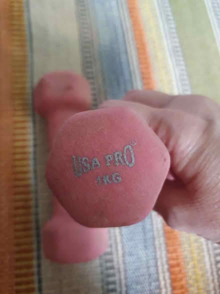 Photo of free 1kg weights (Fishponds BS16) #2