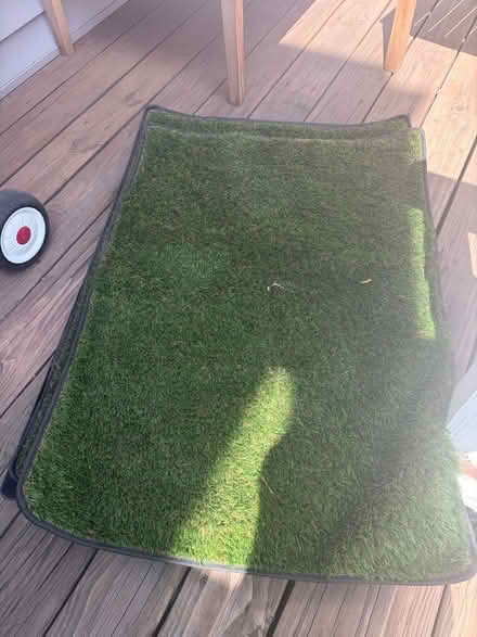 Photo of free Faux grass dog pee pad (East Boston) #1