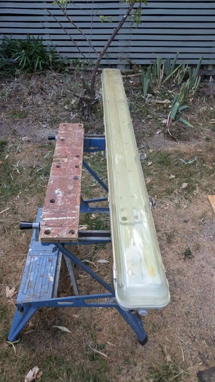 Photo of free Seed propagators. (Winchmore Hill N21) #1