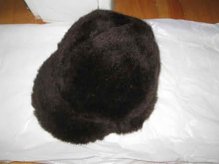 Photo of free fur hat/cap (Old Ottawa South) #1