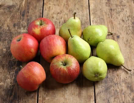 Photo of Apples and pears (windfall or else) (EN11 rye house area) #1