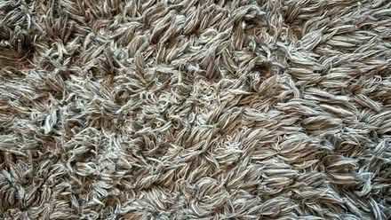 Photo of free Round Grey/Brown Rug from Ikea (Willesden Green NW10) #2