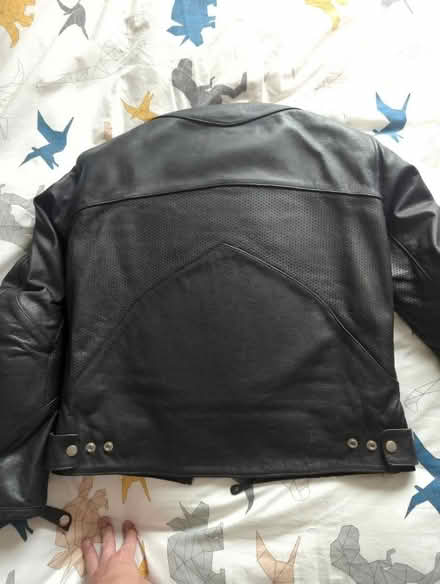 Photo of free Alpinestars Motorcycle Jacket (CV3 Cheylesmore) #4