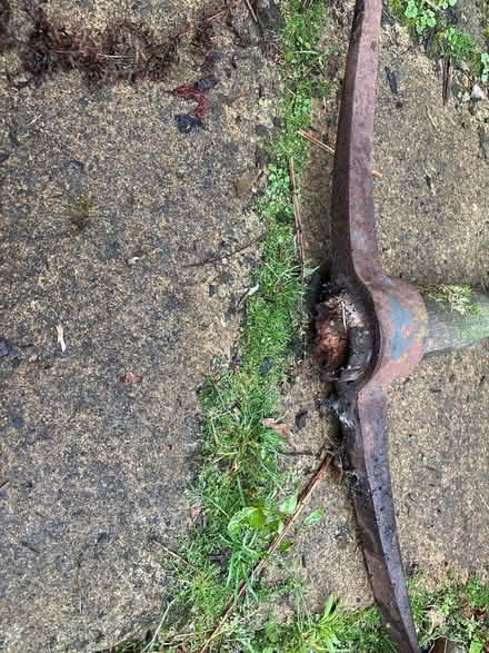 Photo of free Pick axe (Sedbergh LA10) #2