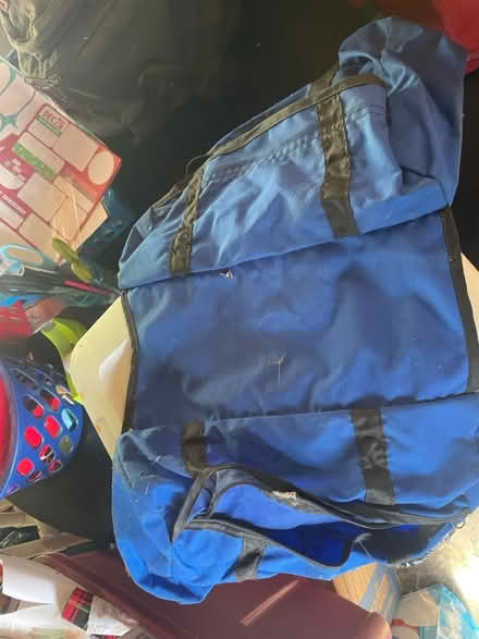 Photo of free Dog backpack (Lynnwood) #1