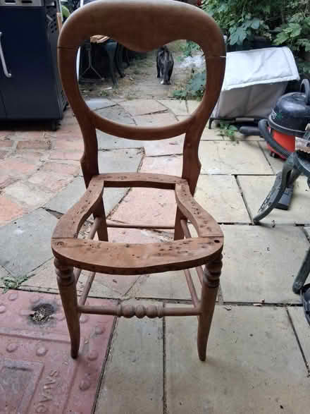 Photo of free Victorian balloon back chair (Coxheath ME17) #1