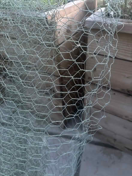 Photo of free Wire mesh (Eton SL4) #1