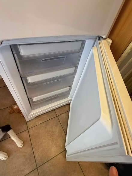 Photo of free Fridge freezer (Taunton TA1) #3