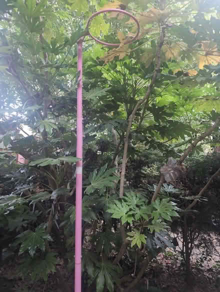 Photo of free Netball post (Mapperley park NG3) #1