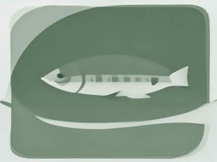 Photo of Fishing bait (Haydock WA11) #1