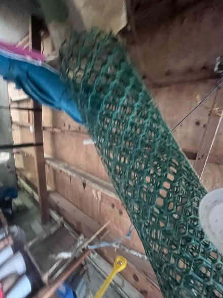 Photo of free Green thing (South Dublin) #2