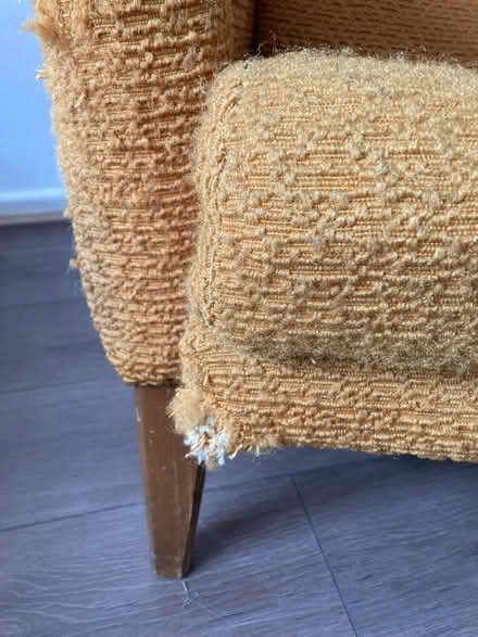 Photo of free Yellow armchair (Splott CF24) #4