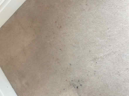 Photo of free Carpet (Ramsgate CT11) #2