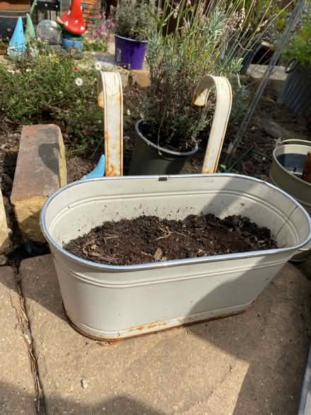 Photo of free Assorted Garden Bits (Faversham ME13) #2