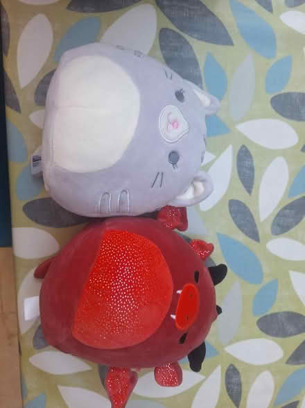 Photo of free Squishmellow toys (Berkhamsted HP4) #1