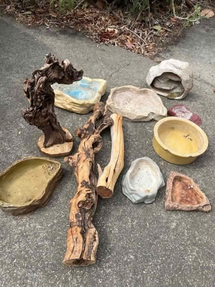 Photo of free Box of reptile dishes and hides (west san jose) #1