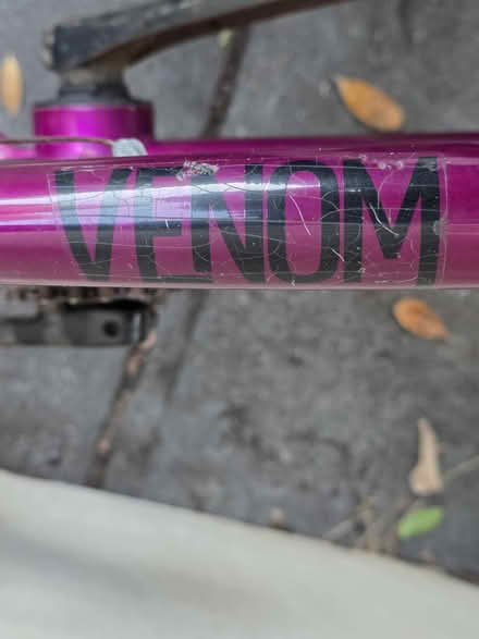 Photo of free BMX bike (Hampton) #3